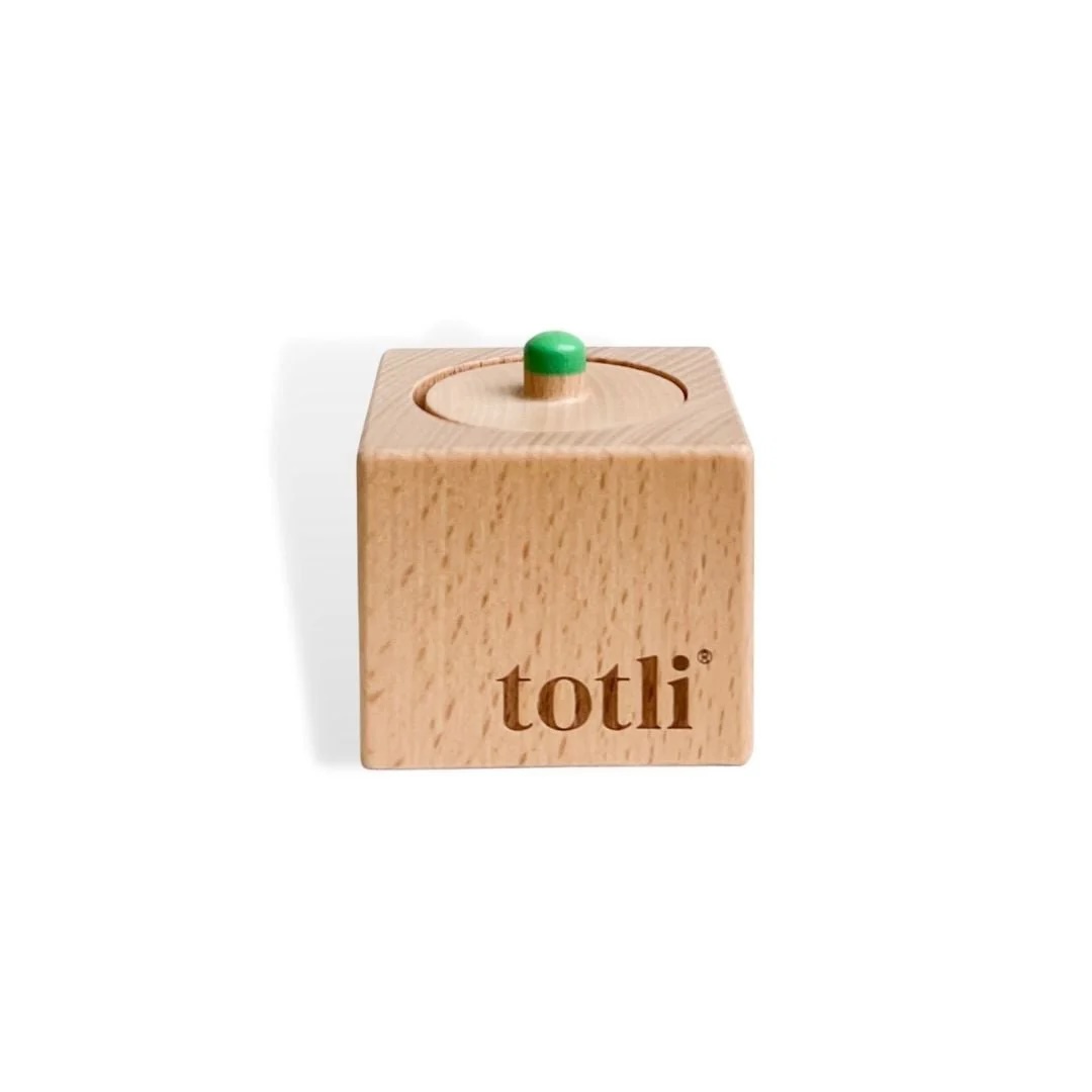 Montessori Totli Pincer Puzzle