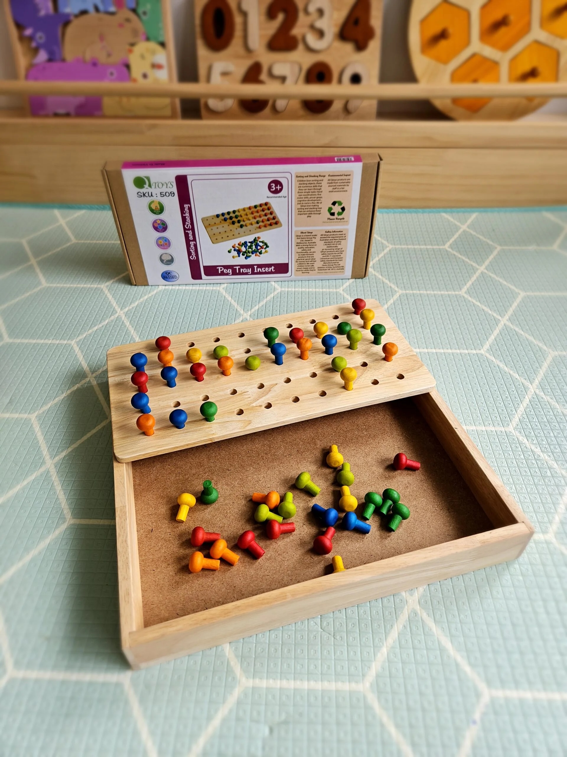 Montessori Sand and Peg Tray