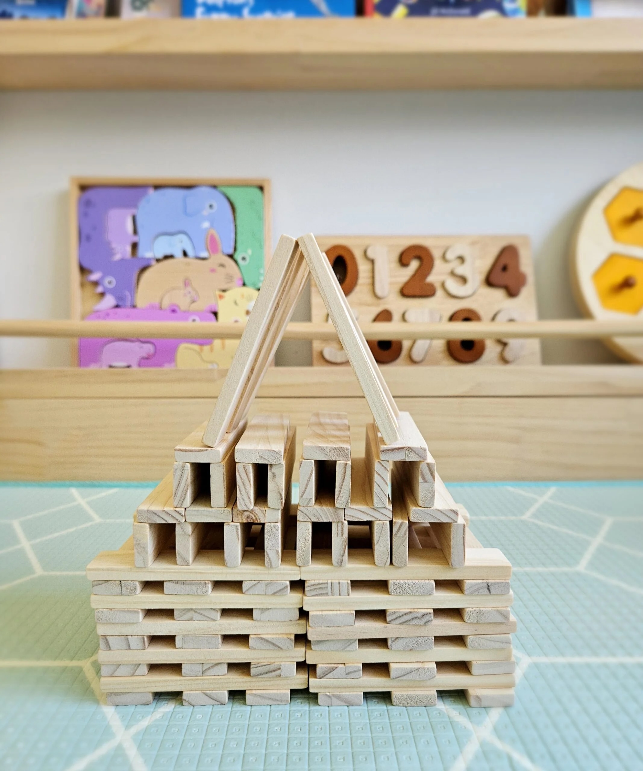 Natural Planks 200 Pieces
