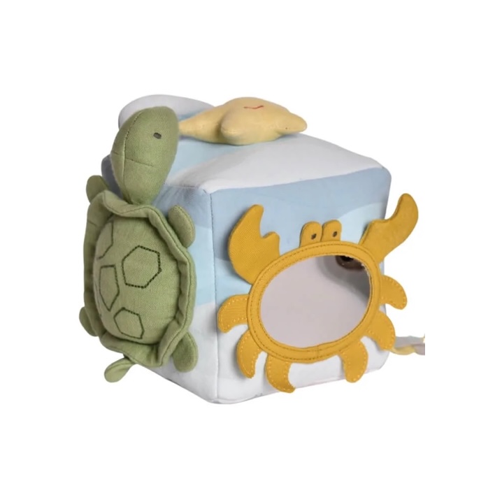 Organic Ocean Activity Cube